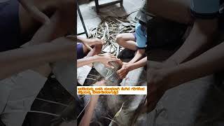 SUPW project by govt school studentscoconut stick broommaking best out of waste [upl. by Ydderf665]