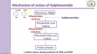 Sulfonamides Mechanism of action [upl. by Trisha]