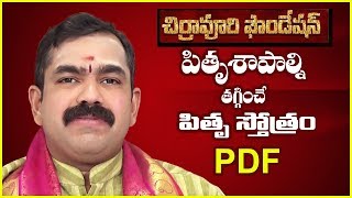 పితృ శాపాల్ని తగ్గించే పితృ దేవతా స్తోత్రం pitru stotram PDF Chirravuri FoundationJayam problems [upl. by Havot735]