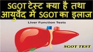 SGOT Test in hindi – क्यों और किस कारण बढ़ता है SGOT – sgot kya hai [upl. by Bea]