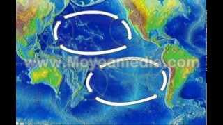 NOAA Ocean Currents [upl. by Ecinom]