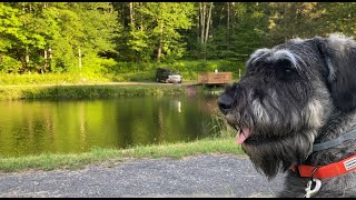 Truck Camping With My Dog At Secluded Pond And Abandoned Cabin  Chinese Style Pork Skewers [upl. by Atinuhs]