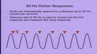 AIOC2018  GP145  Topic  The Electroretinogram ERG Basics  5 min [upl. by Philippe]