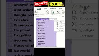 Power BI Slicer  Get Search Box Bar  Slicers in Power BI  Shorts  powerbi [upl. by Erelia541]