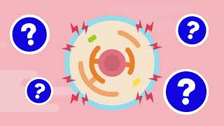 Emerging Therapeutics for APOL1Mediated Kidney Disease [upl. by Gschu135]