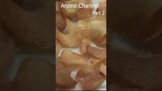 🥔 Crunchy Homemade Potato Chips Recipe Perfect Snack in Minutes part 2 🍽️ shorts [upl. by Nnalyrehs]