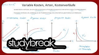 Variable Kosten Arten Kostenverläufe  Kosten und Leistungsrechnung [upl. by Koloski]