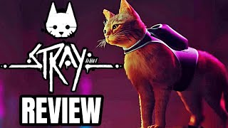 STRAY Review  The Final Verdict [upl. by Blankenship361]