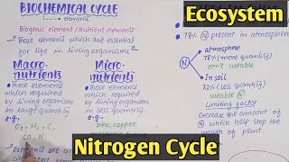 Introduction to ecosystem  Class 12 Biology [upl. by Esilanna]