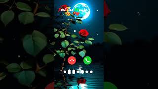 Best ring tones call new 2024 i phone ringtone call new shorts ytshort ringtone iphone [upl. by Eitsirc]