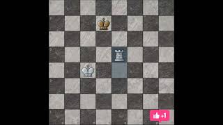 ASMR chees  checkmate with king and Rook chess ytshort [upl. by Supple]