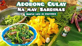 Ep502024  Adobong Gulay na may Sardinas  Simple Life in Province [upl. by Leachim]