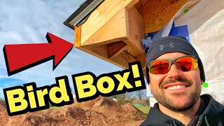 How To Build A Bird Box For Soffit On A House [upl. by Devonne]