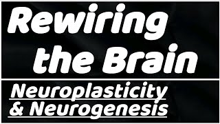 Rewiring the Brain Meditations Impact on Neuroplasticity and Neurogenesis [upl. by Ainslie]