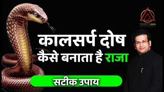 कालसर्प दोष कैसे बनाता है राजा I Kal Sarp Dosh Ke upay horoscope astrology kalsarpdosh [upl. by Hogle]