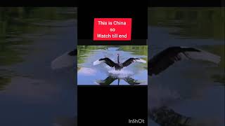 Southwest Jiaotong University Chengdu China Viral Video [upl. by Donelle]