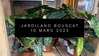 JARDILAND BOUSCAT [upl. by Ssac]