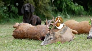 Bombige Strecke und eine zünftige Jagdrunde am Kamin in Masuren [upl. by Palm]