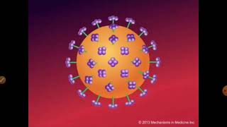 Retroviral vectors structure and function Animal Biotechnology [upl. by Elsie40]