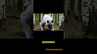 Wendigo Parte 4 creepypasta wendigo scary pesadelo [upl. by Inaleon855]