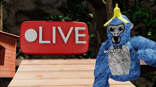 Gorilla Tag STREAM MINIGAMES AND MORE [upl. by Acira]