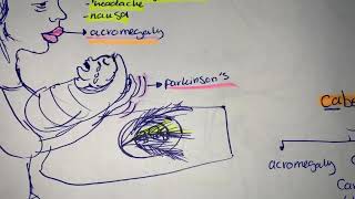 Mnemonics bromocriptine Cabergoline ADV  ARABIC [upl. by Nnagrom948]