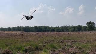 RNLAF CH47d Chinook low flying Ginkelse Heide Ede [upl. by Linnell]