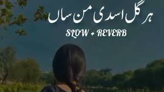 Har Gal Usdi MansaSlowed Reverb Shafaullah RokhriLatest Saraiki Song [upl. by Eremaj]