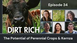 Dirt Rich Episode 34 The Potential of Perennial Crops amp Kernza [upl. by Sinoda]