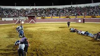 Men Participate in Crawling Race Across Bullfighting Arena  988572 [upl. by Erin]