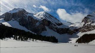 La basa de la mora  Jesús Sierra  MÚSICA EN ARAGONÉS  ❤️AR💛 [upl. by Latnahs]