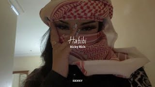 Ricky Rich  Habibi  Albanian Remix   slowed  reverb [upl. by Hsu231]