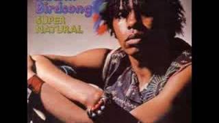 Edwin Birdsong  Rising Sign FunkyClimax 1973 [upl. by Edlihtam241]