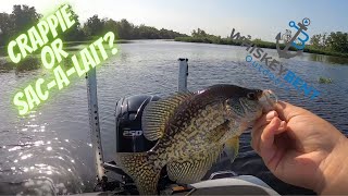 Crappie or Sacalait Louisiana Crappie Fishing [upl. by Ethan]