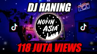 DJ Haning  Lagu Dayak Remix Viral Tiktok [upl. by Cornell760]