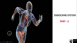 Endocrine System  ICSE Class 10th BiologyPart 2 [upl. by Leelahk193]