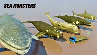 Heaviest living Sea Monsters  Weight Comparison [upl. by Ginger]