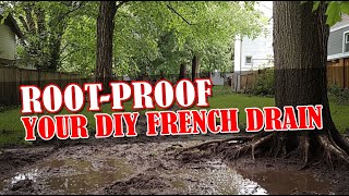 How to Keep Roots From Growing in Your French Drain System [upl. by Rogovy349]