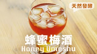 3 年陳釀 ❇️ 封神青梅酒配方🍑15年釀齡不私藏 Homemade Umeshu Choya Recipe beanpandacook [upl. by Benedic]