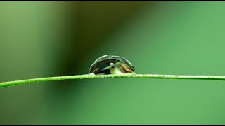 Ayuda acúfeno dormir con terapia de sonido naturaleza relajante  HD [upl. by Lizzie]