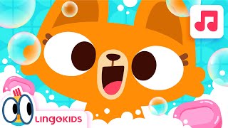 BATH SONG 🛀🎶  Songs for kids  Lingokids [upl. by Calvo]