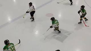 East Lambton Eagles U9black vs Thamesford Full game Feb 5 2024 [upl. by Tracay376]