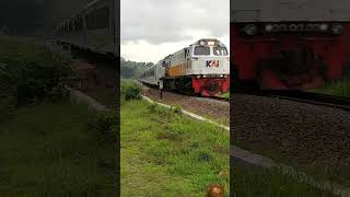 KA BRAWIJAYA keretaapiindonesia shortsvideo [upl. by Gen35]