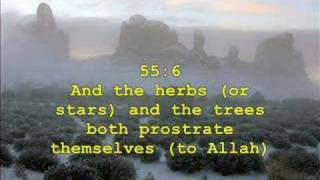 AbdulBasitAlQamar Verse 49 to ArRahmanVerse 27 [upl. by Rory547]