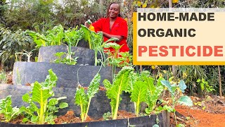 Best Organic Pesticide amp Fertilizer Recipe  Easy DIY Guide for Healthier PestFree Crops [upl. by Yecart]