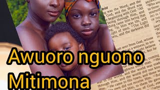 🔴Awuoro nguono best luo gospel [upl. by Eiramaliehs]