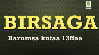 BIRSAGA Barumsa Afaan Oromoo KUTAA 13ffaa [upl. by Yknarf]