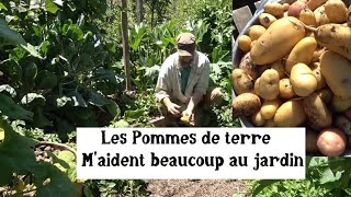 Réussir son Potager grâce aux Pommes de terre [upl. by Anaugal570]