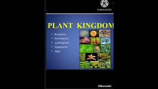 Class 11 biology chapter 3 plant Kingdom [upl. by Harriett]