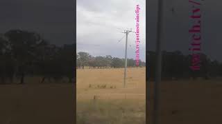 VLINE Southern Cross To Albury NSW 121124 victoria shorts shortvideo train travel views [upl. by Ytram]